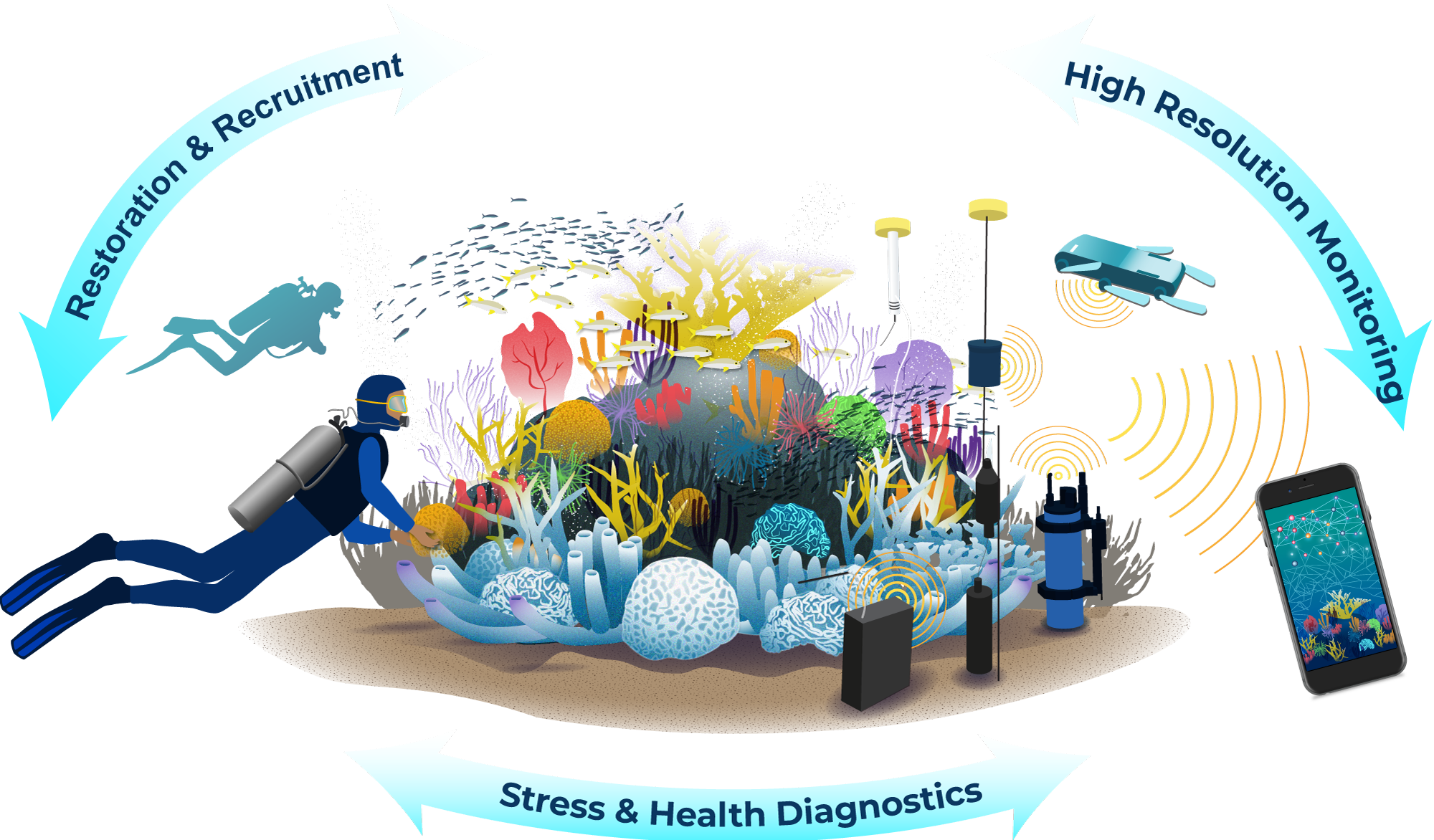 ReefSolutions ReefSolutions