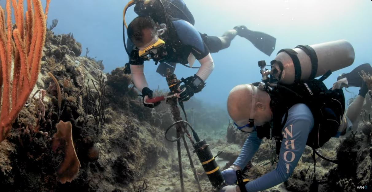 Reef sounds to attract larvae